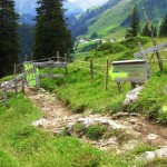 Abfahrt vom Schrofenpass Richtung Warth